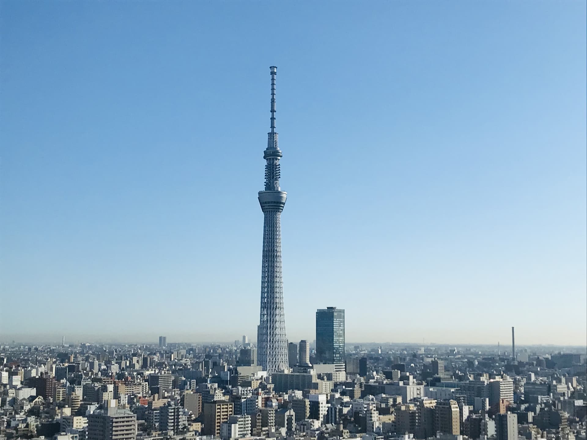 スカイツリー